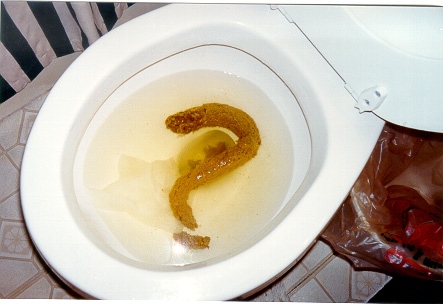 ?